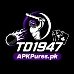 TD1947-game