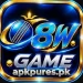 8w-game